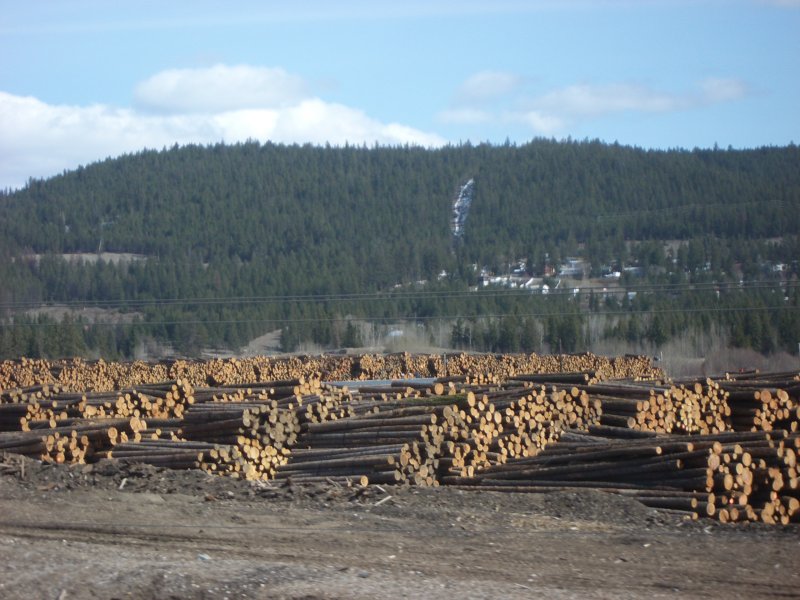 Log pile