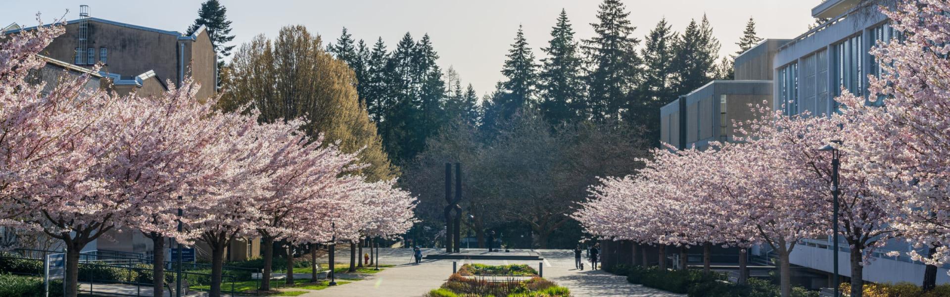 UBC Photo